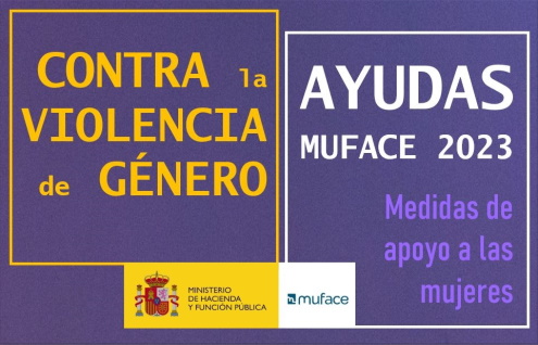 Ayudas violencia genero web 1