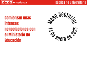 mesa sectorial 14 de enero 2025